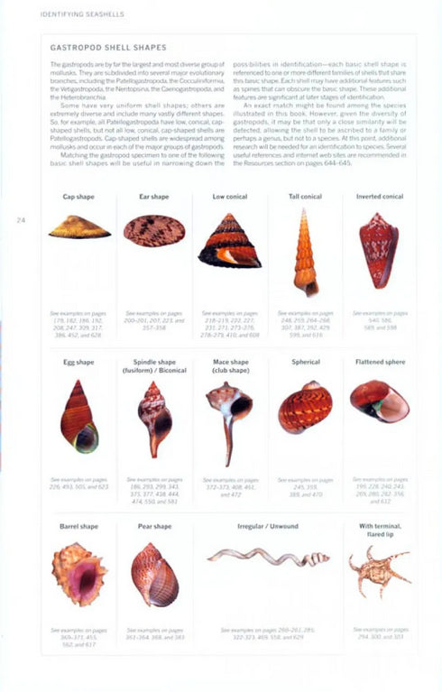 The Book of Shells. A lifesize guide to identifying and classifying six hundred shells - Harasewych,J.  2010